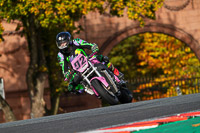 anglesey;brands-hatch;cadwell-park;croft;donington-park;enduro-digital-images;event-digital-images;eventdigitalimages;mallory;no-limits;oulton-park;peter-wileman-photography;racing-digital-images;silverstone;snetterton;trackday-digital-images;trackday-photos;vmcc-banbury-run;welsh-2-day-enduro